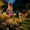 Floor Insertion Hummingbird Moon Light Solar Powered Lawn Lamp  Pathway Patio