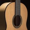 MARTIN M260 Classical Bronze Normal Tension Classical Guitar Strings 80/20