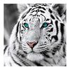 Reofrey Diamond Painting Diamond Art Cross Stitch Kit Tiger, Handmade Kit Full Paste Bead DIY Craft Kit Home Restaurant Rhinestone Home Wall Hanging