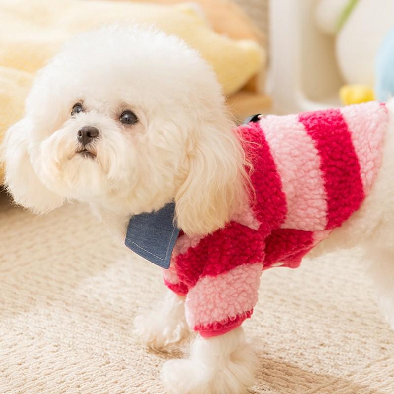 Winter Dog Clothes Pet Dog Coat Cotton Solid Bear Print Puppy Jacket Chihuahua Bichon Cat Clothing Dog Warm Vest Pet Supplies