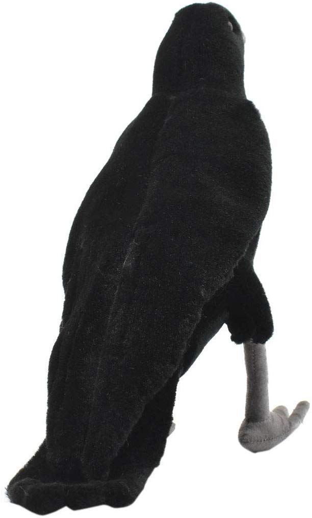 HANSA BH 6266 HANSA Crow 31