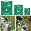 9Pcs Plant Propagator Ball Boost Plant Growth No Damage Translucent Increase Rooting Rate Indoor Outdoor Use