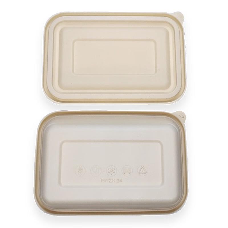 Biodegradable Corn Starch Square Takeaway Container 650ml