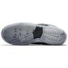 Nike SB Dunk Low Atlas 35MM Grey 504750-020