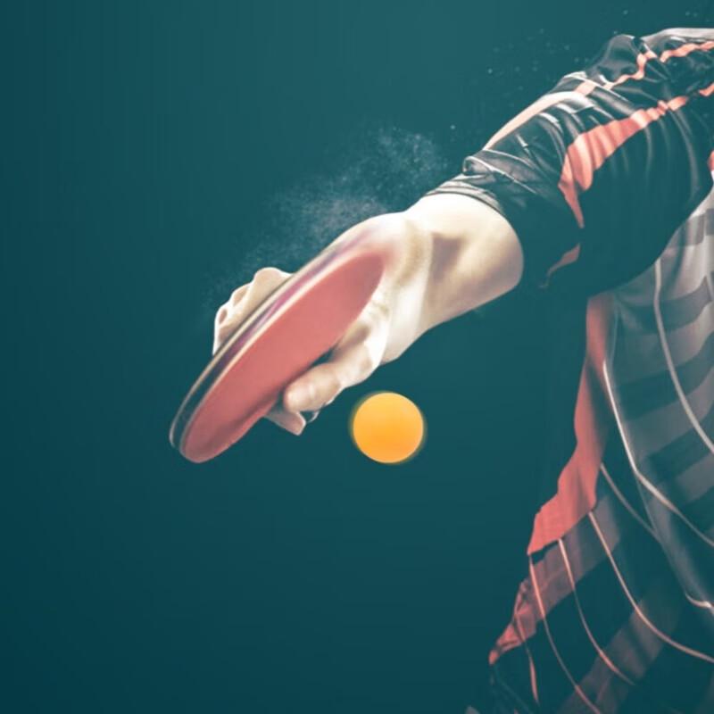 Peak T4-Star Penhold Table Tennis Racket