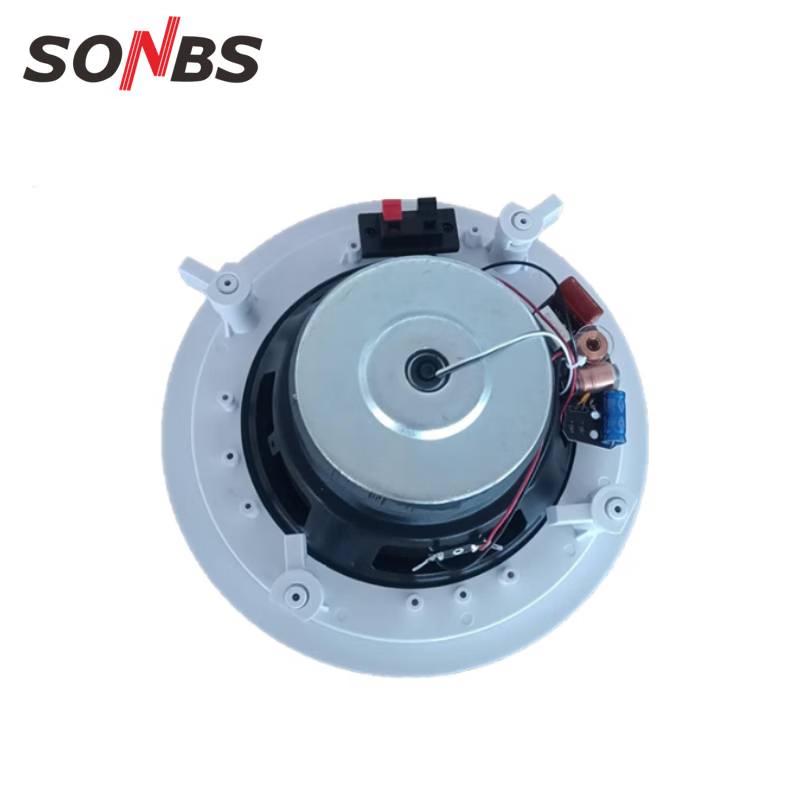 Sheng Boshi 100W Ceiling Speaker (CN version)