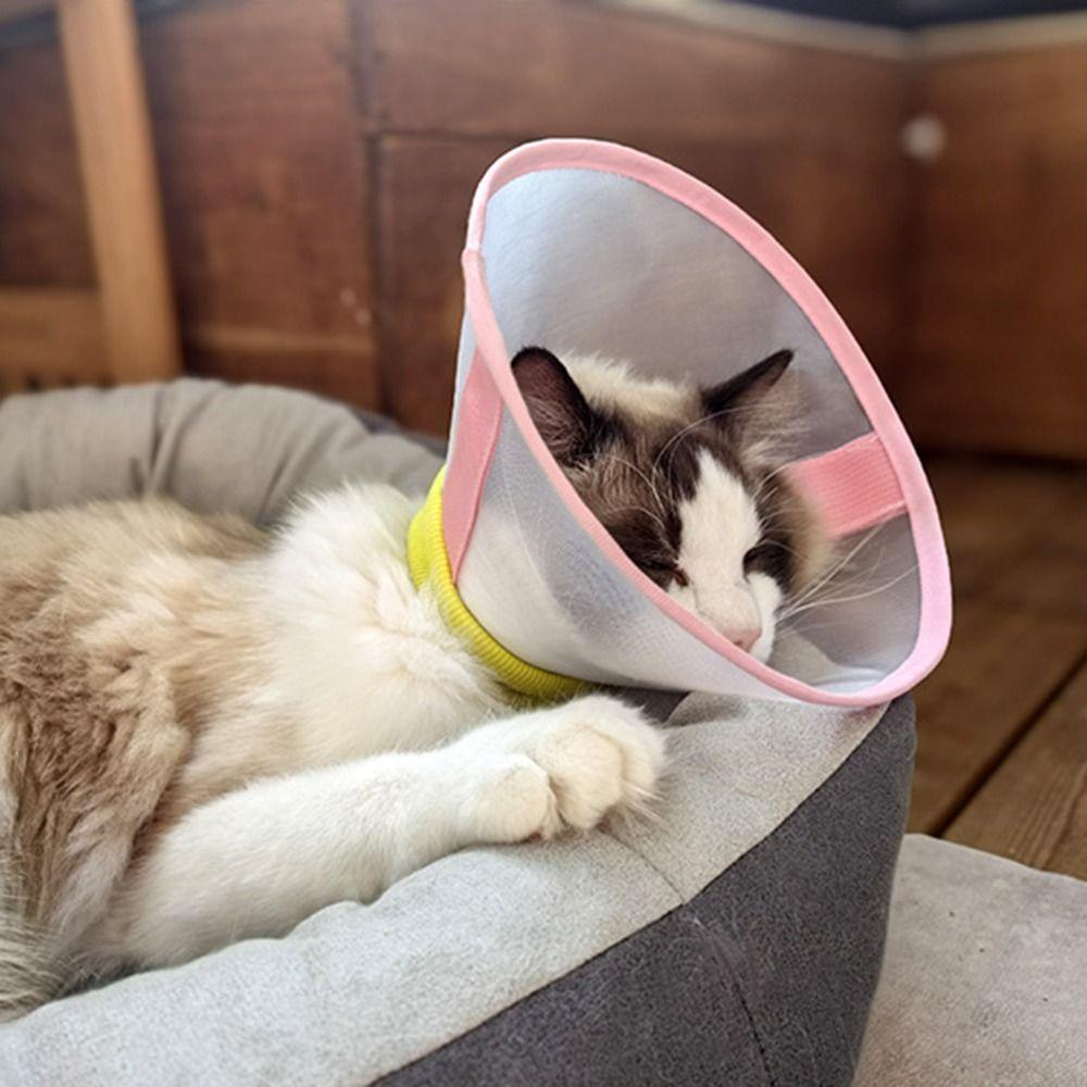 Soft Cat Elizabeth Collar Breathable Cat Neck Protective Circle Flexible Pet Neck Cone Recovery