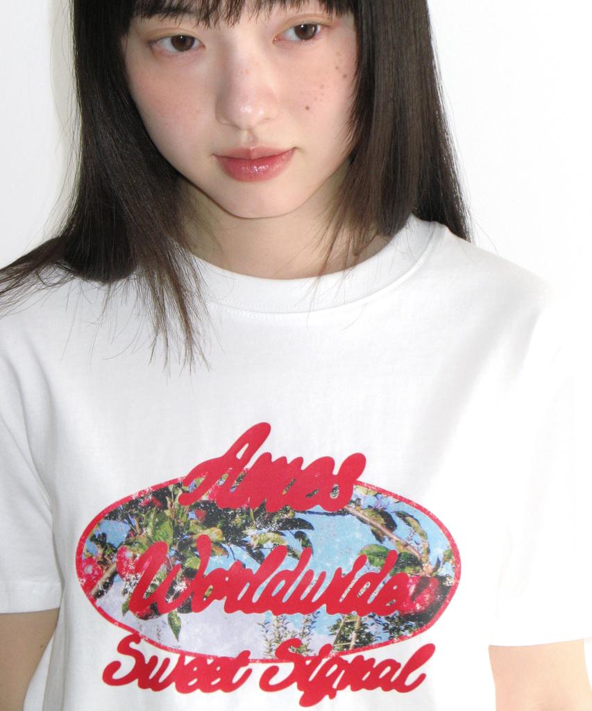 AMES-WORLDWIDE Palm Tree Oval Tee White