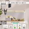 Pet Turtle Tank with Basking Platform Desktop Aquarium for Small Turtles Home Ecological Habitat Terrarium Living Room Decor