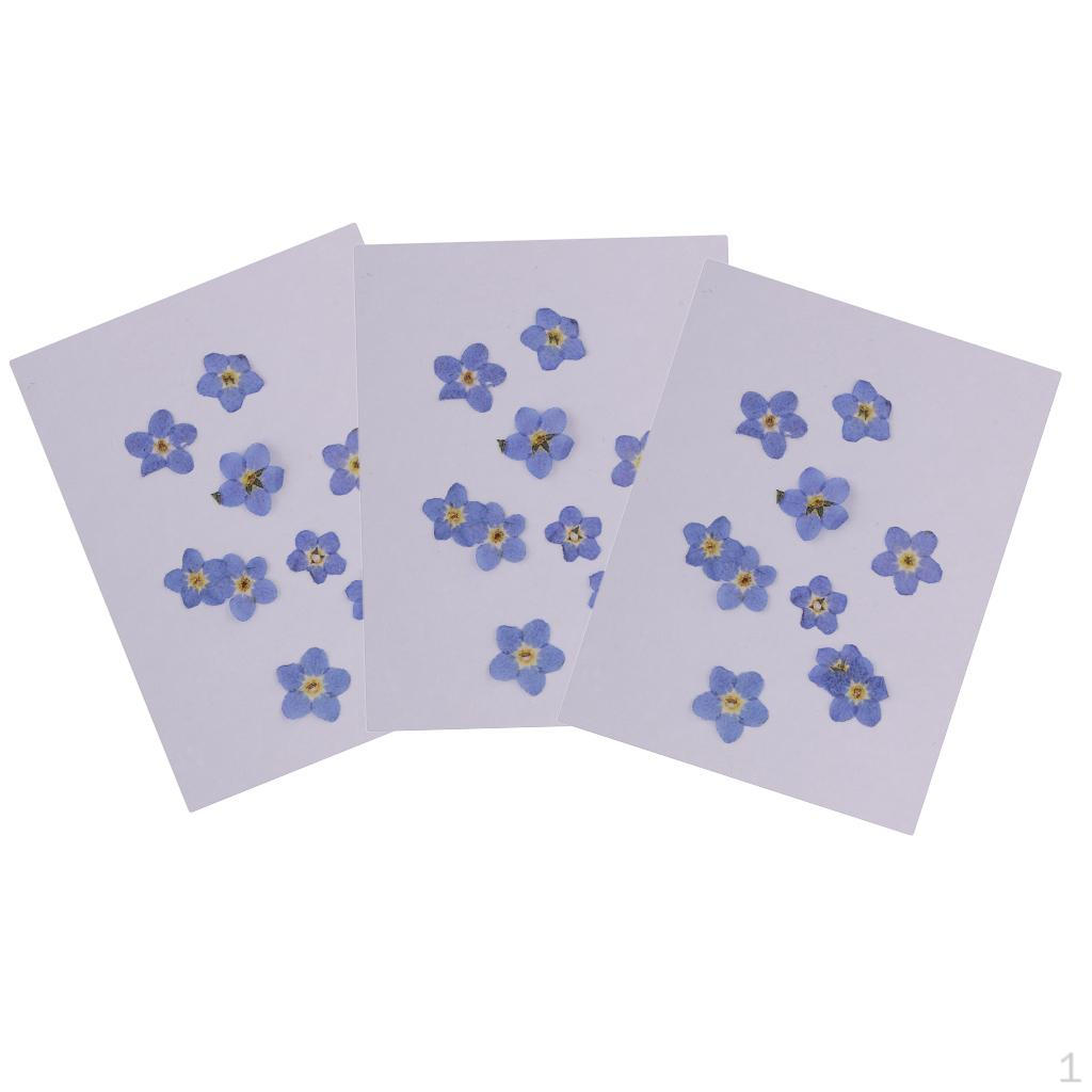 

30 Pieces Natural Dried Flowers for crafts Jewelry Making DIY Necklace Pendants