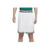 Nike Dri-Fit DNA Logo Print Stripe Drawstring Sports Shorts Men Bottoms White DH7161-100
