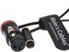 Low-Profile 3-Pin Mini-XLR Male to Full-Size XLR Female Audio Cable for BMPCC 4K 6K Camera Video Assist, Original Connector, Color: Alvin's Cables,