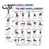 Beginner Friendly Fitness Guide 2 Pcs Dumbbell Workout Chart Poster, Full Body Exercise Strength Training Wall Art Art, for Home Gym Muscle