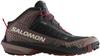 Hiking Shoes S Lab Waterway Black Iron Andorra