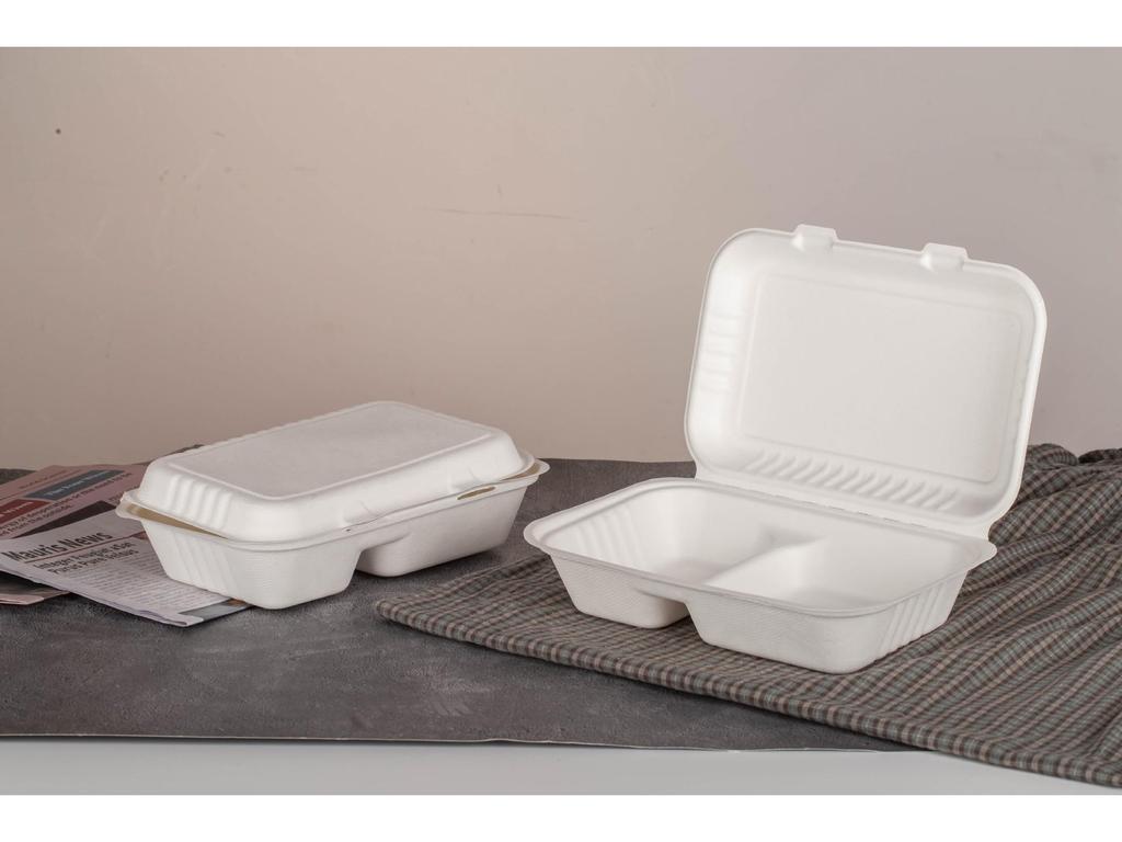 Biodegradable Eco-friendly Disposable Paper Lunch Box with Double Compartment, 9x6 Inch
