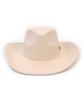 Yunibeosyeolkemiseuteuli Cowboy Wool Ivory Fedora Fedora