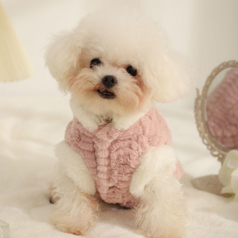 Ins Teddy Bear Pomeranian Pet Hoodie - Anti-Shedding Autumn/Winter Warm Sweatshirt for Small Dogs