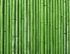 Glass Plate Cutting Board 52X40 Bamboo