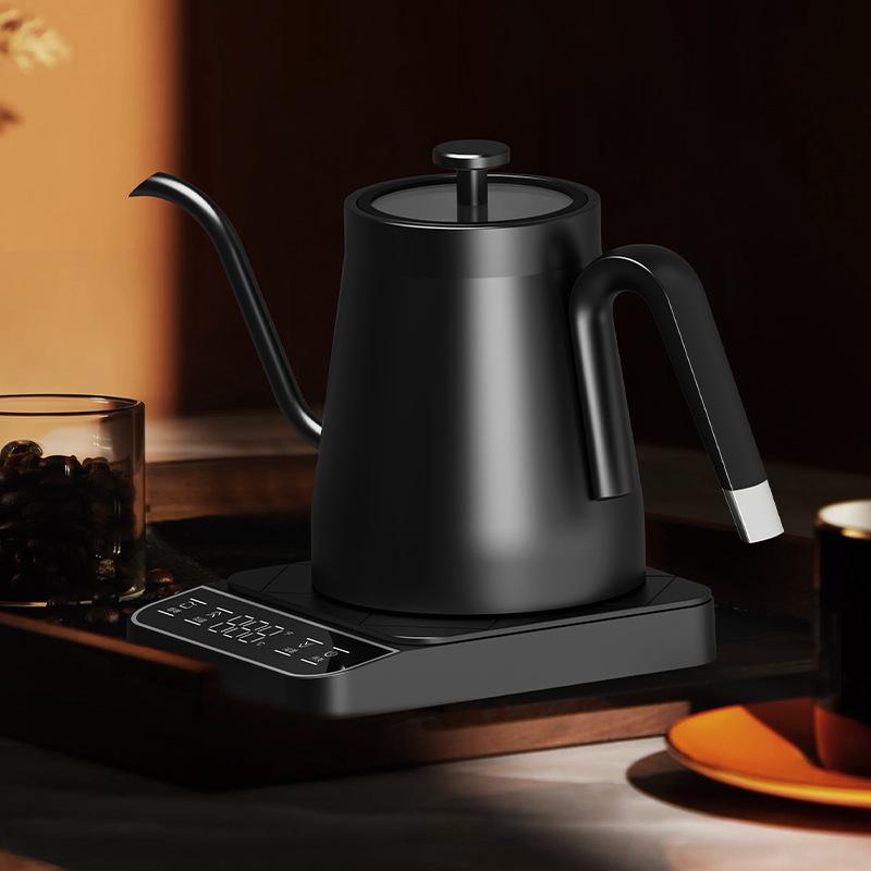 Kaffekanna och tekanna i rostfritt stål med temperaturkontroll och svanhals med precisionspip