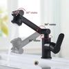 TLXT Lucky Cat Basin Faucet