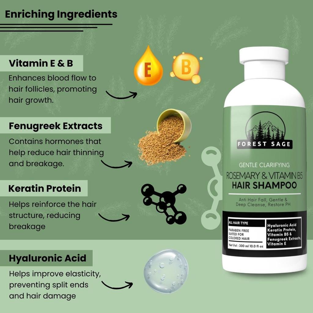 Forest Sage Rosemary & Vitamin B5 Hair Shampoo