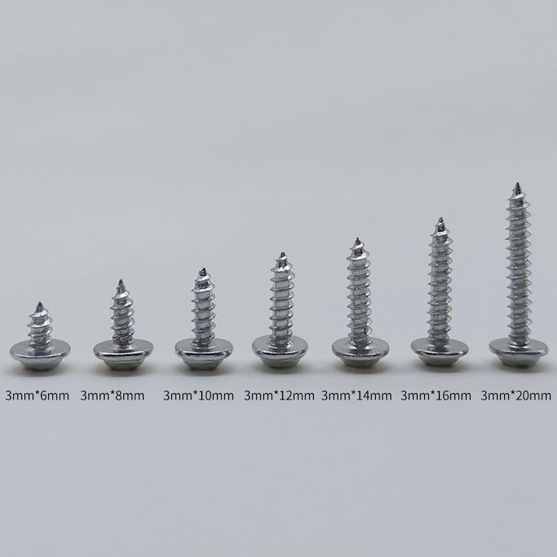 Gold and Silver Self-tapping Screw Kit with Washers, Assorted Models, 500g.