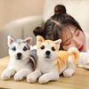 Realistic Appearance Simulation Dog Plush Toy Husky Puppy Doll Cute Stuffed Animal Toy  Home Decor