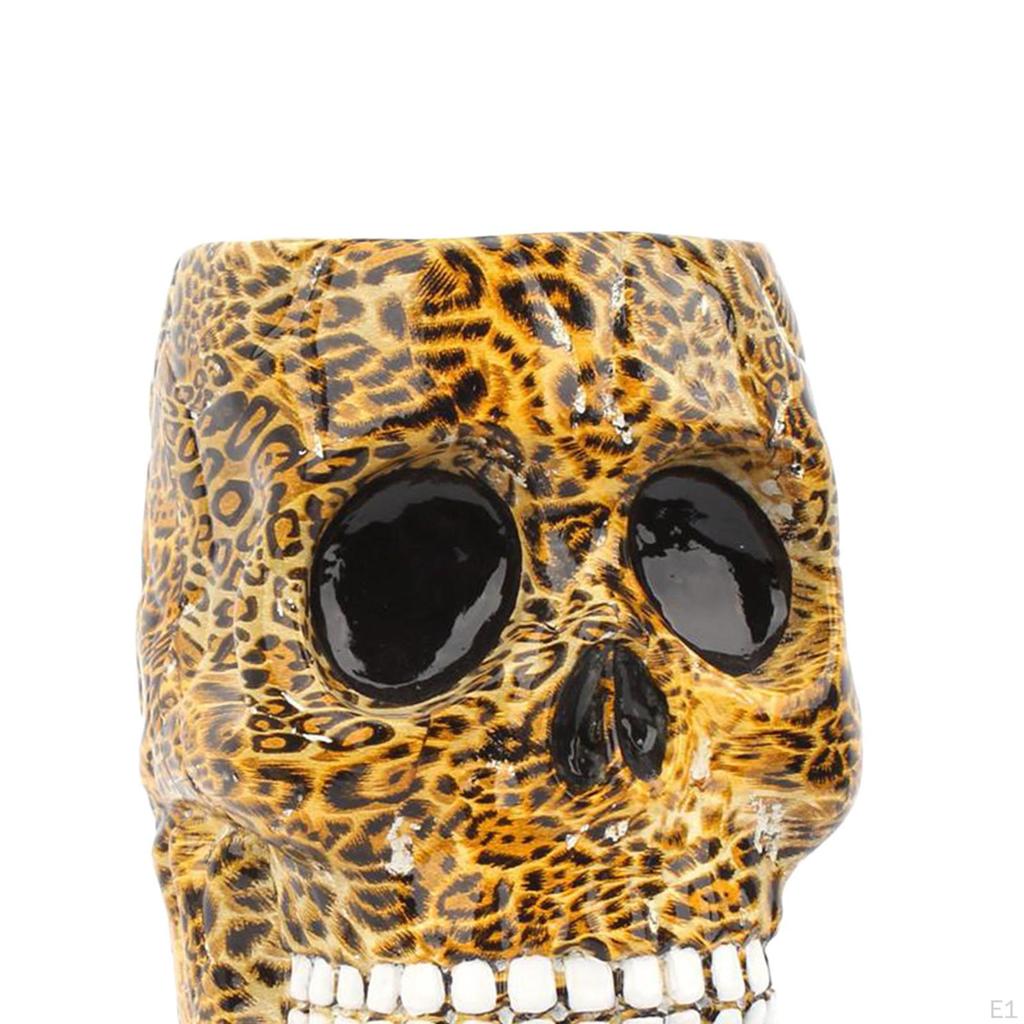 Holder, Novelty Skull Shaped Makeup Organizer, Organizer Storage for Countertop,