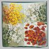 New Trend Color Silk Square Scarf Silk Scarf Wholesale Autumn and Winter Temperament Mulberry Silk Scarf Bag Silk Scarf