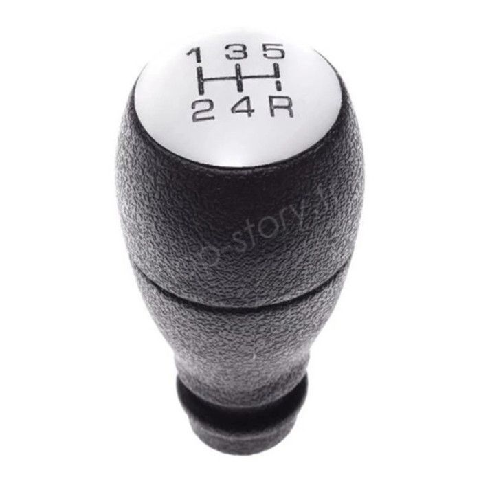 SHOP-STORY - RA2903004 : Chrome Gear Shift Knob for CITROËN Vehicles Berlingo, C2, C3 & PEUGEOT 206, 207..
