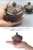 SENYON Lotus Flower Incense Burner, Aromatherapy Incense, Incense Sticks, Asian Style (Bronze)