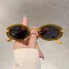 Small Oval Frame Retro Sunglasses Luxury Vintage Metal Designer Shades Women Fashion Brand Leopard Beach Sun Glasses for Lady