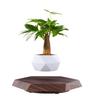 Magnetic Levitation Floating Plant Pot for Home Decoration
