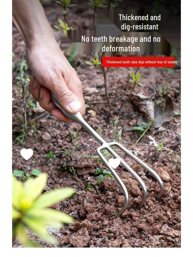 Stainless Steel One-Piece Handle Multi-Tine Garden and Seafood Rake