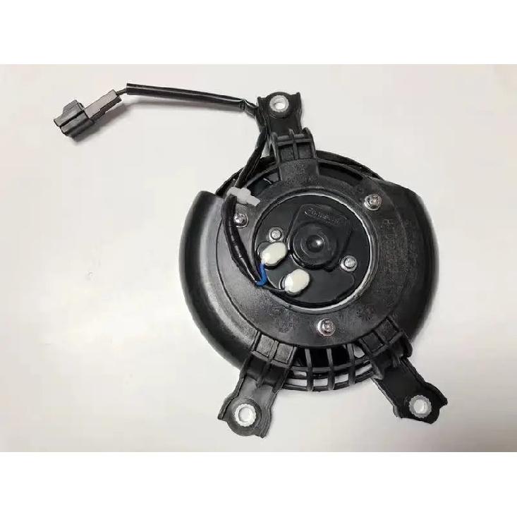 Radiator Cooler W/ Fan For Suzuki GW250 2012-2020 2019 GSX250R Motorcycle Acsessories Accessory
