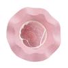 Ladies' Fashionable Flower Sun Hat, Breathable And Fashionable Beach Hat
