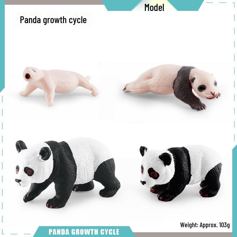 Animal Growth Cycle Models: Chicken, Duck, Goose, Butterfly, Turtle, Frog Montessori Teaching Figurines