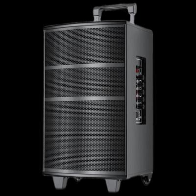 Newman L23 Portable Bluetooth K-Song Speaker CN Plug (adapter Included)