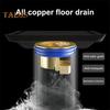 Automatic Floor Drain Core Anti-Odor Anti-Leakage Quick Drainage Anti-Insect Fast Drainage Floor Grate