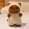 1Pc 20CM Kawaii Cat Plush Doll Toy Cartoon Ragdoll Cat Lucky Cat Siamese Cat with Accessories Stuffed Soft Animal Doll Gifts