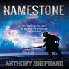 Namestone by Anthony Shephard Paperback Book 9781909728271