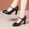 6 8 10cm Small Size 32-43 Shallolw Genuine Leather Shoes Mary Janes 2025 Fall Block High Heels Shoes Platform for Office Dress
