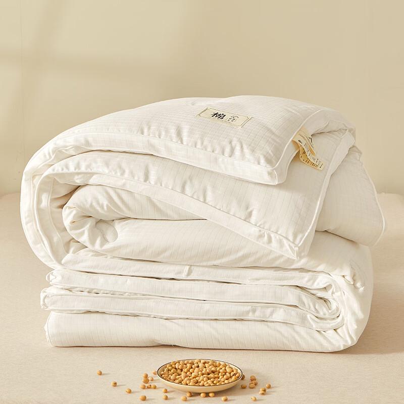 Boyiduo Soy Fiber All-Season Quilt