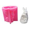 Easters Rabbits Mould Silicone Molds Plasters Molds Ornament Molds Handmade Castings Molds Animal Molds Craft Supplies