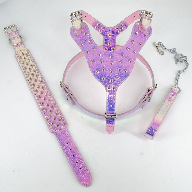 

Шкіряна шлея для собак із шипами, нашийник із заклепками та повідок для середніх собак XS 38-46CM