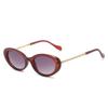 Women's European & American Minimalist Oval Sunglasses with Personality Chain