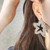 Women's Cubic Star Giant Earrings [Silver Needle]