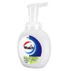 Walch Antibacterial Foaming Hand Wash