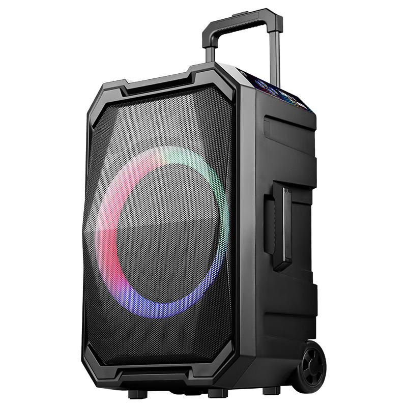 

Philips Portable Bluetooth Karaoke Speaker System