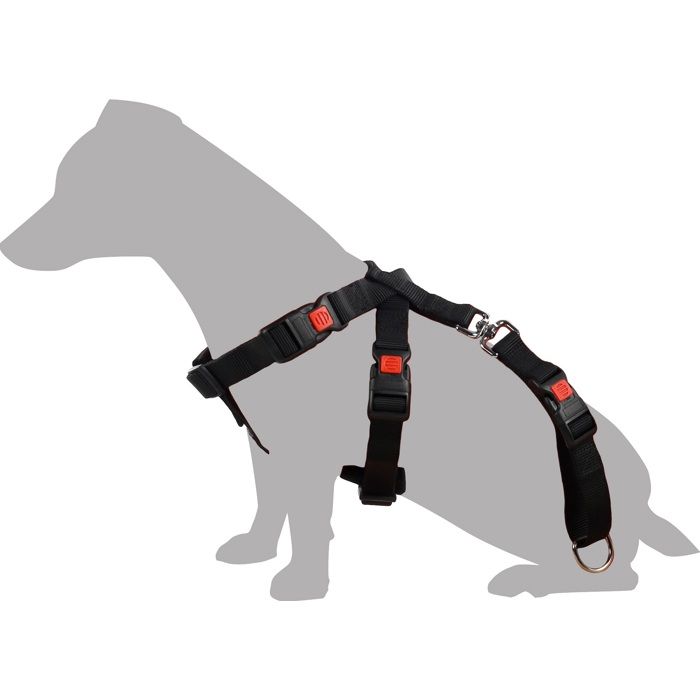 Harnais de sécurité pour voiture Duma Noir XS